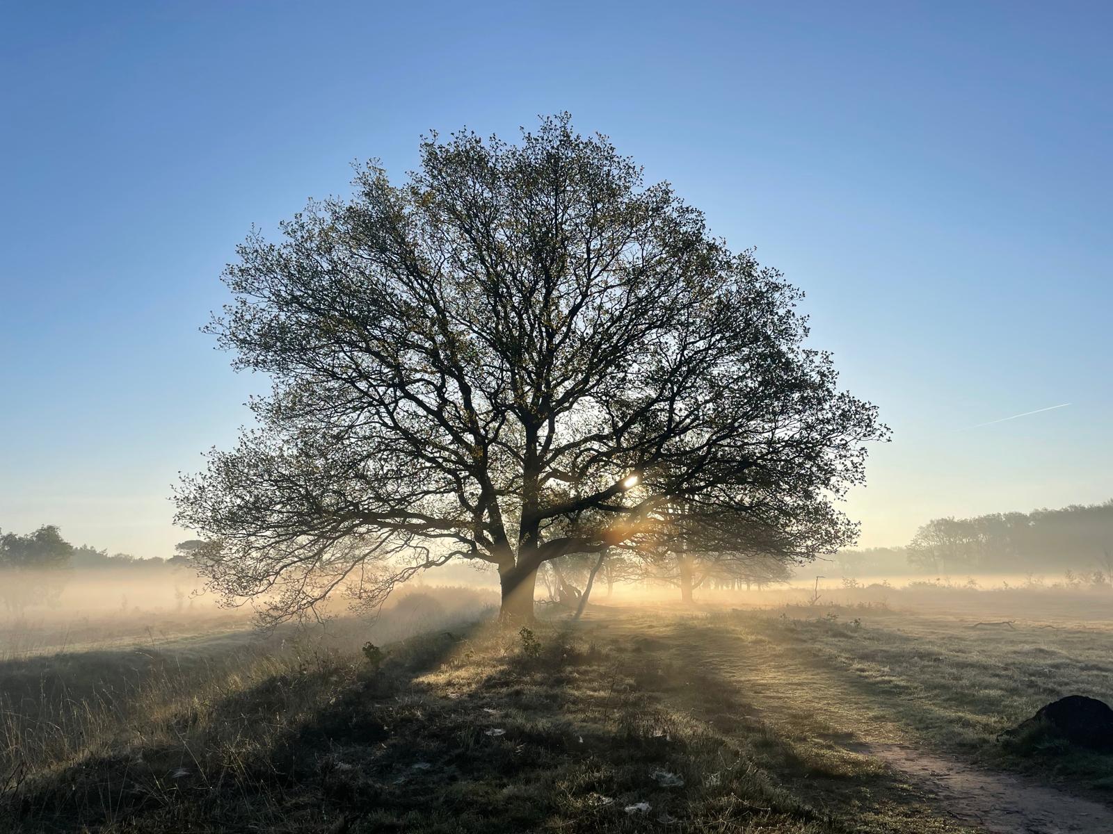 WhatsApp Image 2025-05-13 at 11.25.00